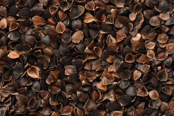 Buckwheat Seeds