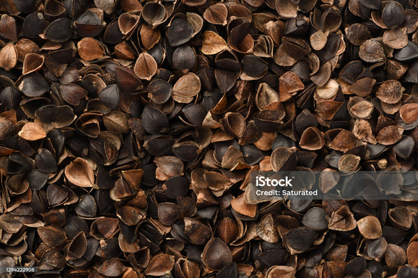 Buckwheat Seeds